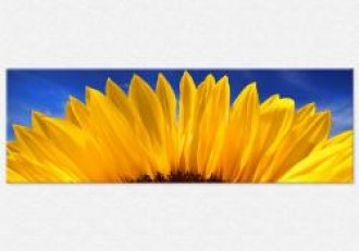 Tablou canvas floral - Floarea soarelui