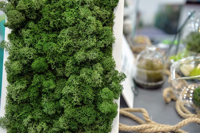 tendintele-in-gradinarit-sunt-dictate-de-expo-flowers-garden-la-romexpo
