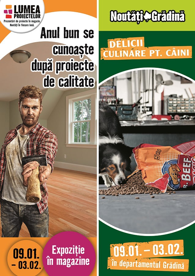 amenajarea-corecta-a-incaperilor-si-Hrana-pentru-camarazii-canini-proiectele-lunii-ianuarie-la-HORNBACH