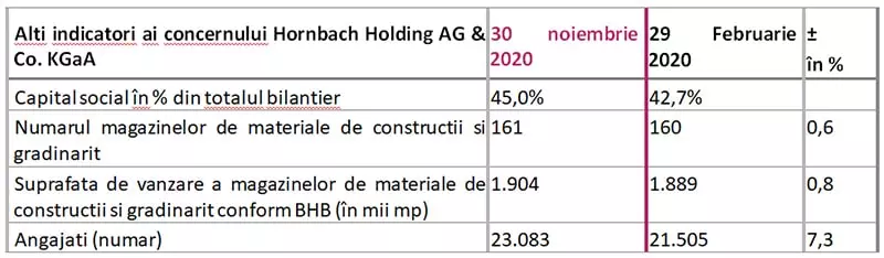 indicatori-ai-concernului-Hornbach-Holding-AG-&-Co-KGaA