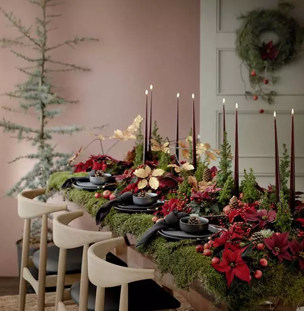 Christmas_Woodland_pelargonium_for_europe