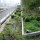 Acoperisuri Verzi oferit de firma ODU Green Roof