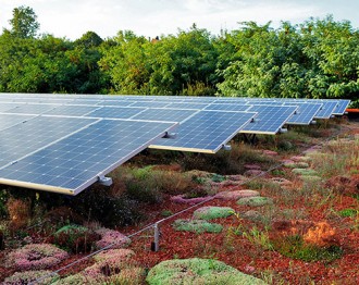 Acoperis verde tip Biosolar